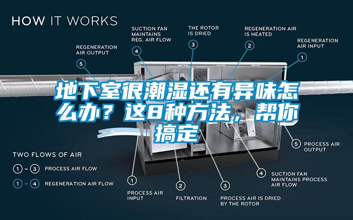 地下室很潮濕還有異味怎么辦？這8種方法，幫你搞定