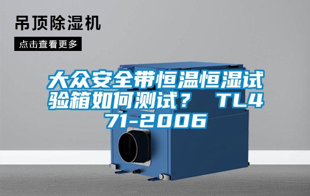 大眾安全帶恒溫恒濕試驗(yàn)箱如何測試？ TL471-2006