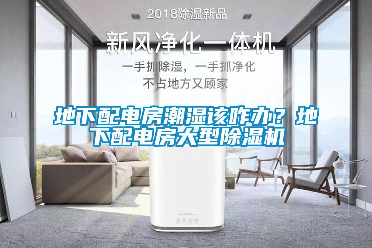 地下配電房潮濕該咋辦？地下配電房大型除濕機