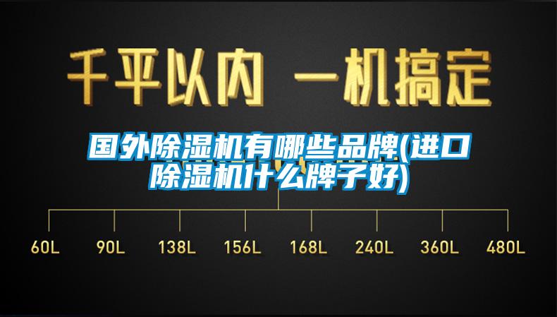 國(guó)外除濕機(jī)有哪些品牌(進(jìn)口除濕機(jī)什么牌子好)