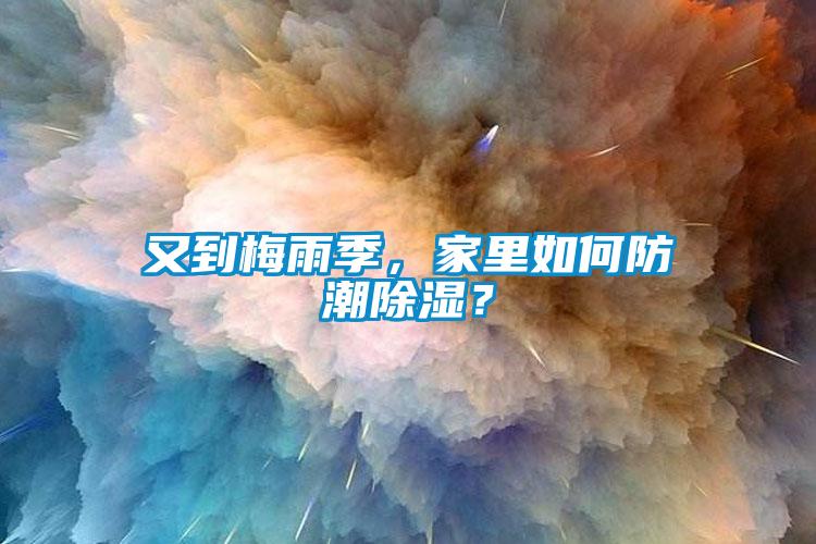 又到梅雨季，家里如何防潮除濕？