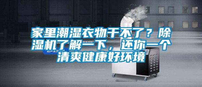 家里潮濕衣物干不了？除濕機了解一下，還你一個清爽健康好環(huán)境