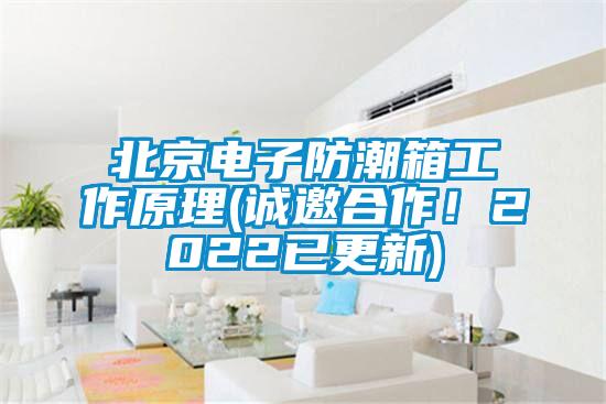 北京電子防潮箱工作原理(誠(chéng)邀合作！2022已更新)