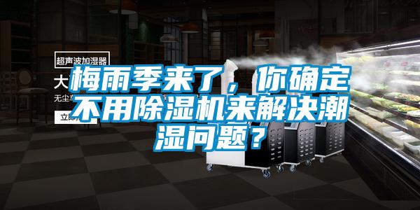 梅雨季來了，你確定不用除濕機來解決潮濕問題？