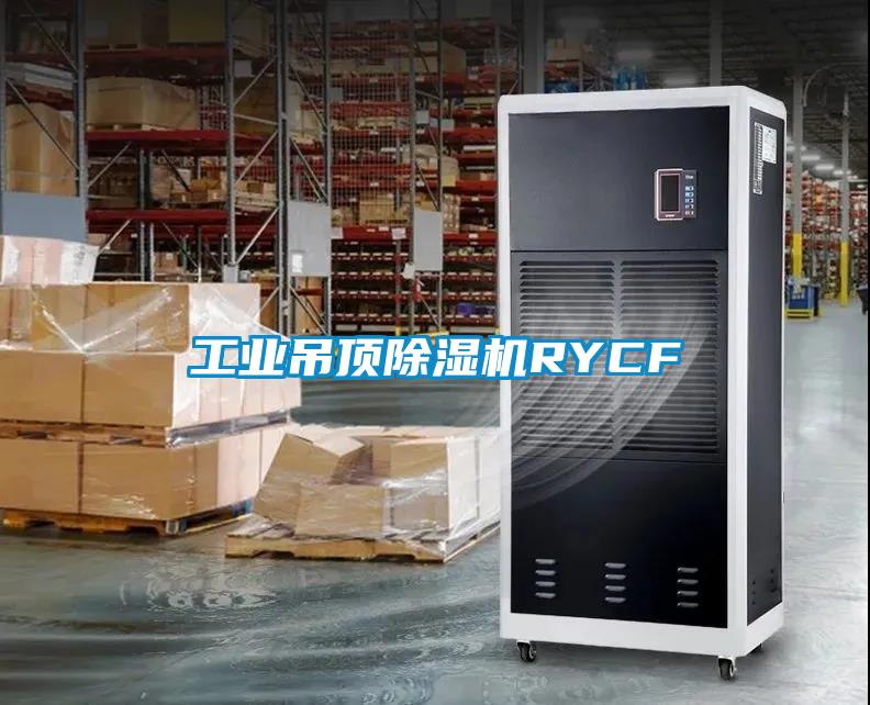 工業(yè)吊頂除濕機(jī)RYCF