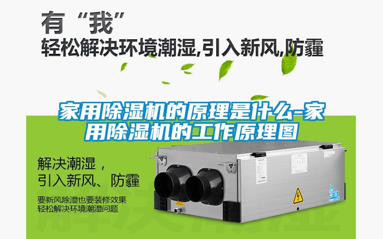 家用除濕機的原理是什么-家用除濕機的工作原理圖