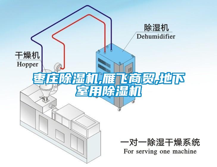 棗莊除濕機,雁飛商貿(mào),地下室用除濕機