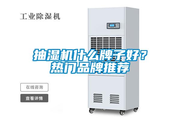 抽濕機什么牌子好？熱門品牌推薦