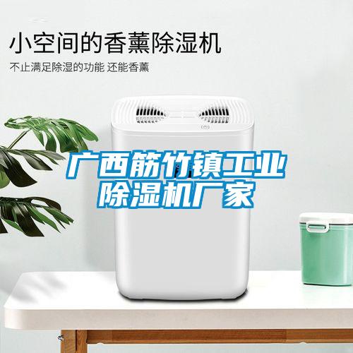 廣西筋竹鎮(zhèn)工業(yè)除濕機廠家