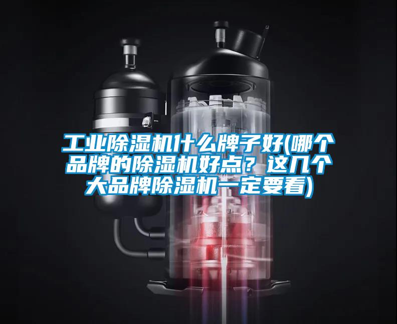 工業(yè)除濕機(jī)什么牌子好(哪個(gè)品牌的除濕機(jī)好點(diǎn)？這幾個(gè)大品牌除濕機(jī)一定要看)