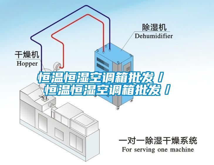 恒溫恒濕空調(diào)箱批發(fā)／ 恒溫恒濕空調(diào)箱批發(fā)／