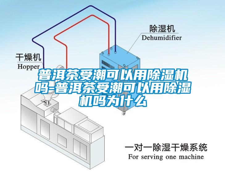 普洱茶受潮可以用除濕機(jī)嗎-普洱茶受潮可以用除濕機(jī)嗎為什么