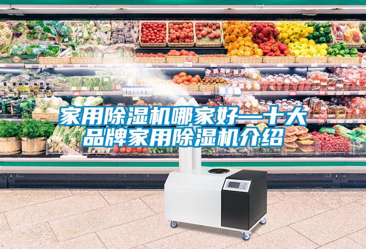 家用除濕機哪家好—十大品牌家用除濕機介紹