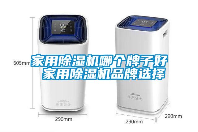 家用除濕機(jī)哪個牌子好 家用除濕機(jī)品牌選擇