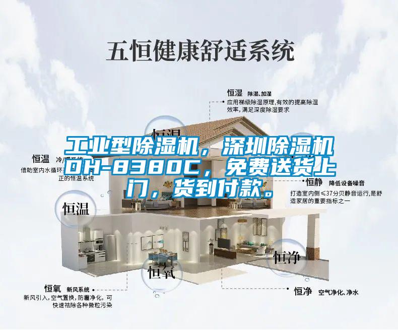 工業(yè)型除濕機(jī)，深圳除濕機(jī)DH-8380C，免費(fèi)送貨上門，貨到付款。