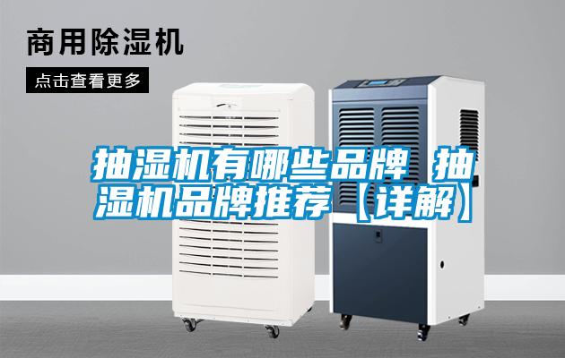 抽濕機有哪些品牌 抽濕機品牌推薦【詳解】