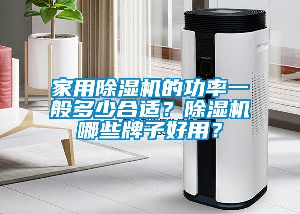 家用除濕機的功率一般多少合適？除濕機哪些牌子好用？