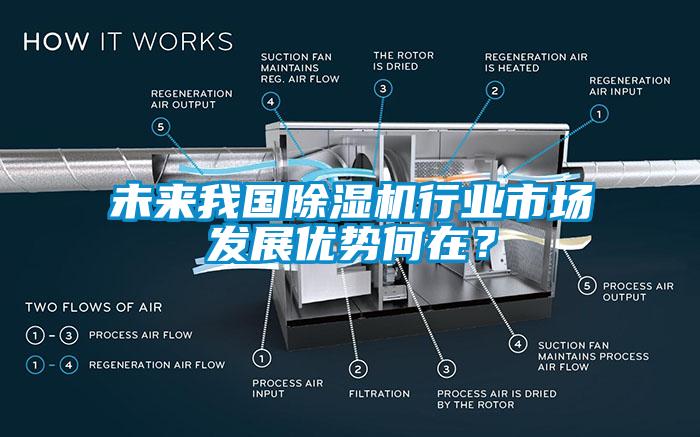 未來我國除濕機(jī)行業(yè)市場發(fā)展優(yōu)勢何在？