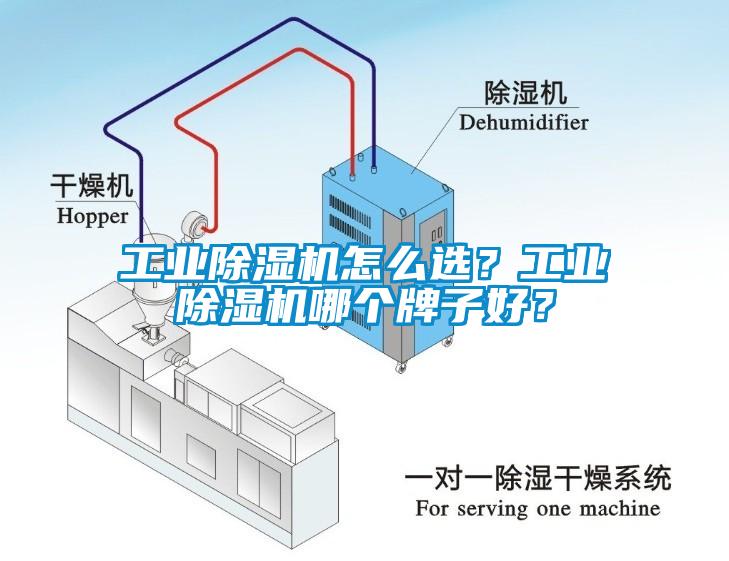 工業(yè)除濕機怎么選？工業(yè)除濕機哪個牌子好？