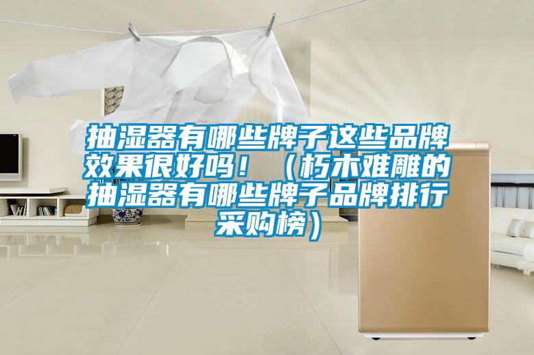 抽濕器有哪些牌子這些品牌效果很好嗎?。ㄐ嗄倦y雕的抽濕器有哪些牌子品牌排行采購榜）