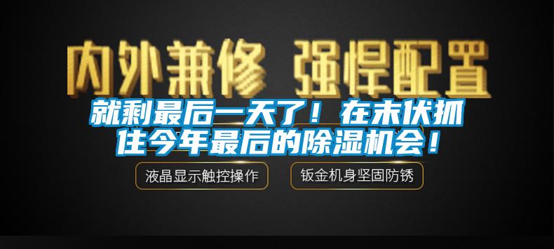 就剩最后一天了！在末伏抓住今年最后的除濕機會！