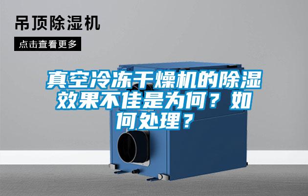 真空冷凍干燥機的除濕效果不佳是為何？如何處理？