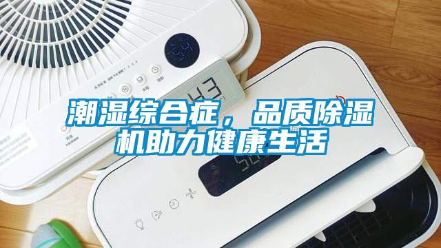 潮濕綜合癥，品質(zhì)除濕機助力健康生活