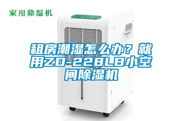 租房潮濕怎么辦？就用ZD-228LB小空間除濕機(jī)