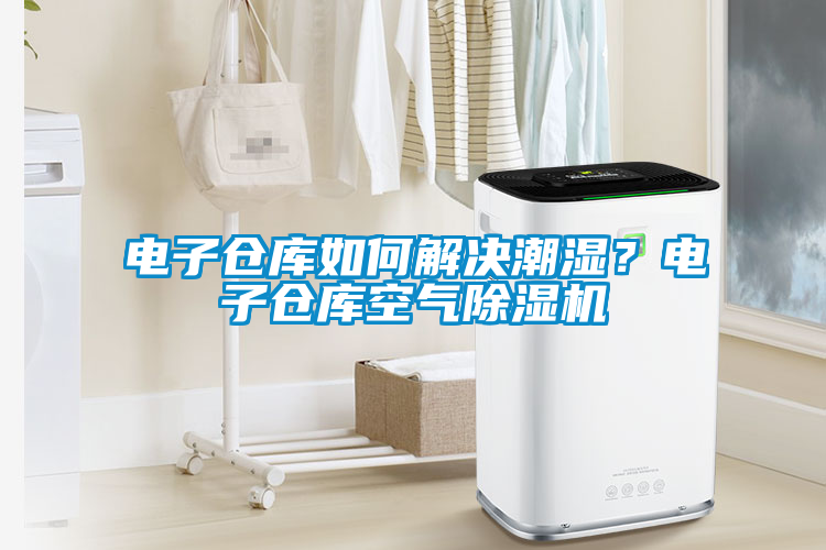 電子倉庫如何解決潮濕？電子倉庫空氣除濕機(jī)