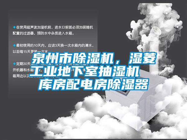 泉州市除濕機，濕菱工業(yè)地下室抽濕機  庫房配電房除濕器