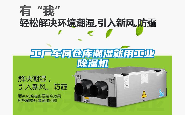 工廠車間倉庫潮濕就用工業(yè)除濕機(jī)