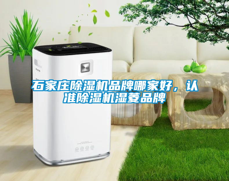 石家莊除濕機品牌哪家好，認準除濕機濕菱品牌