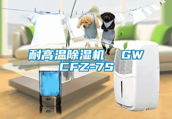 耐高溫除濕機  GWCFZ-7S