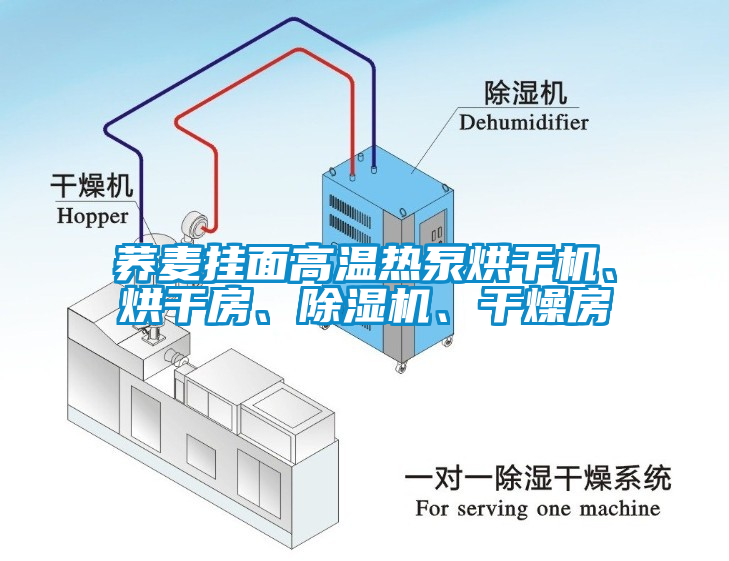 蕎麥掛面高溫?zé)岜煤娓蓹C、烘干房、除濕機、干燥房