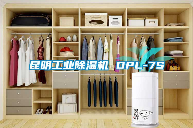 昆明工業(yè)除濕機 DPL-7S