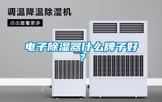 電子除濕器什么牌子好？