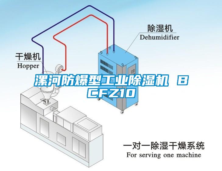 漯河防爆型工業(yè)除濕機(jī) BCFZ10