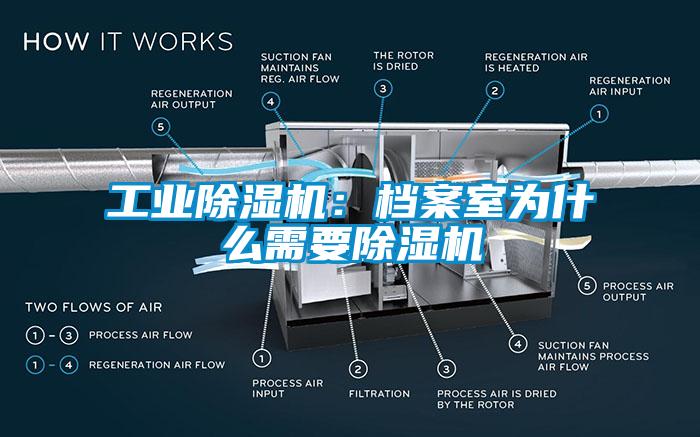 工業(yè)除濕機(jī)：檔案室為什么需要除濕機(jī)