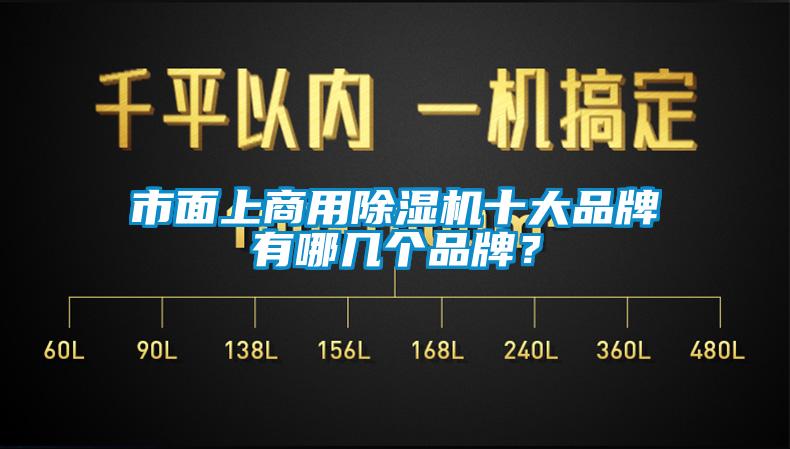 市面上商用除濕機十大品牌有哪幾個品牌？