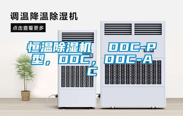 恒溫除濕機(jī)  DDC-P型，DDC，DDC-AC