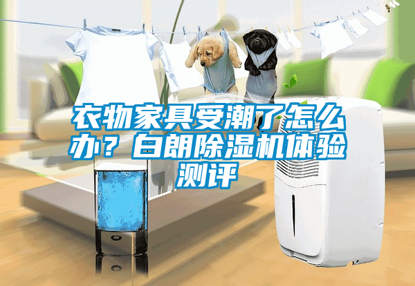 衣物家具受潮了怎么辦？白朗除濕機體驗測評