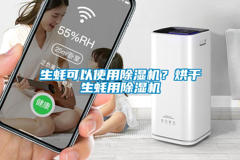 生蠔可以使用除濕機(jī)？烘干生蠔用除濕機(jī)