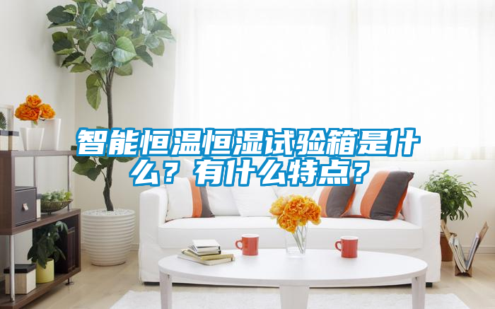 智能恒溫恒濕試驗(yàn)箱是什么？有什么特點(diǎn)？