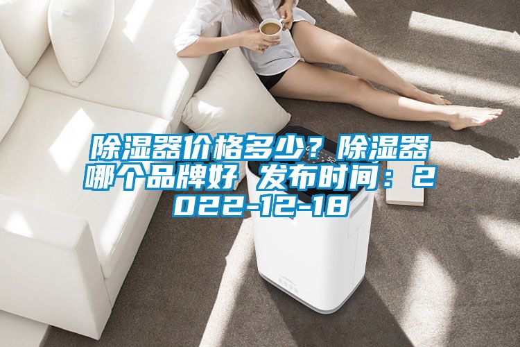 除濕器價格多少？除濕器哪個品牌好 發(fā)布時間：2022-12-18