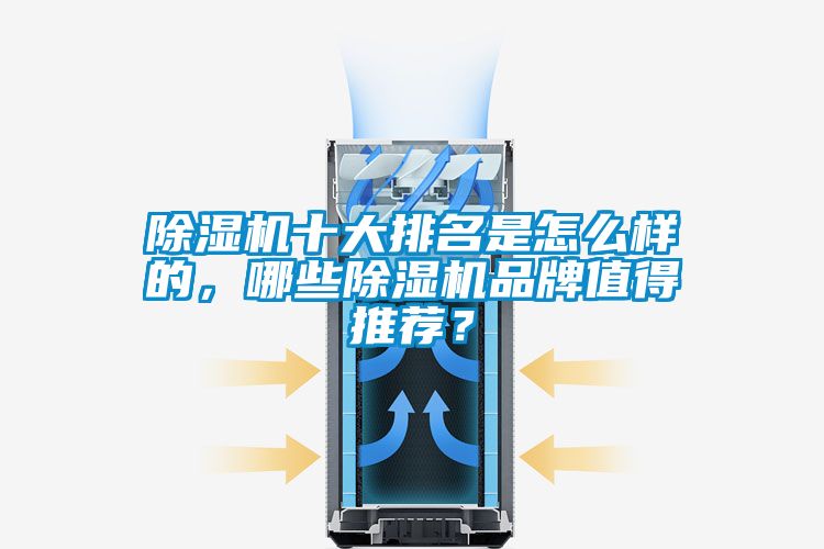 除濕機十大排名是怎么樣的，哪些除濕機品牌值得推薦？