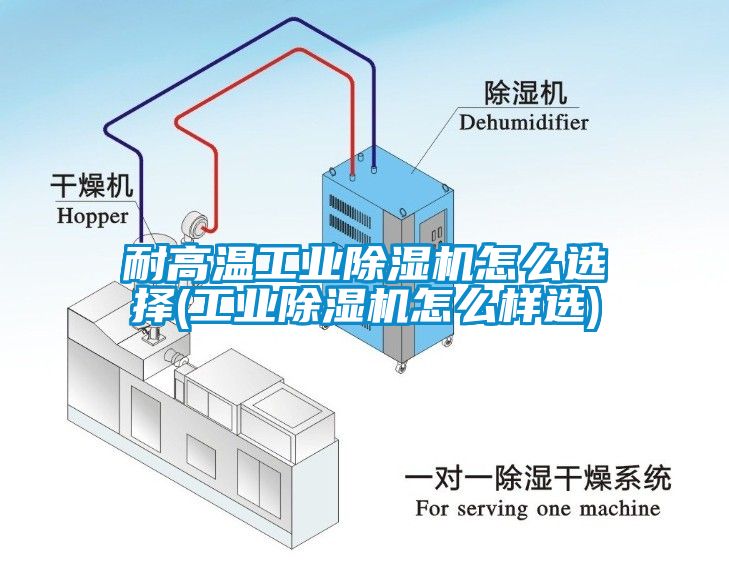 耐高溫工業(yè)除濕機(jī)怎么選擇(工業(yè)除濕機(jī)怎么樣選)