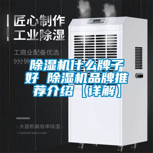 除濕機(jī)什么牌子好 除濕機(jī)品牌推薦介紹【詳解】