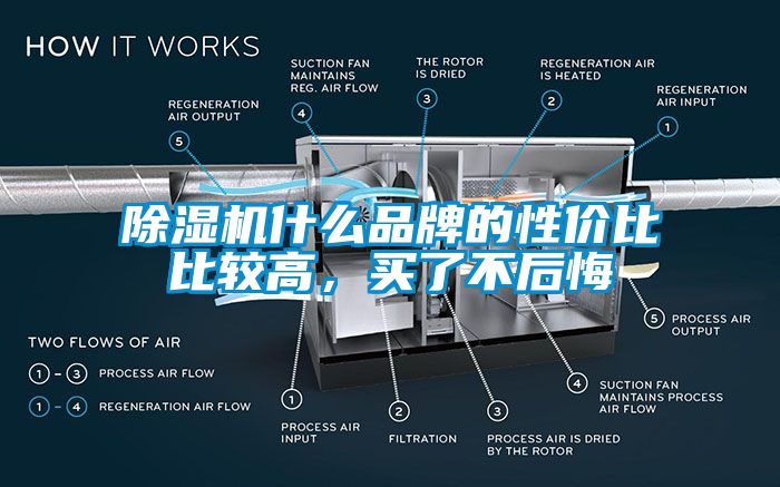 除濕機(jī)什么品牌的性價(jià)比比較高，買了不后悔