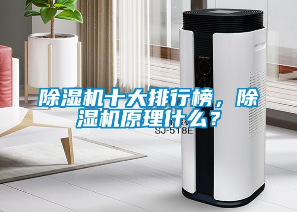 除濕機十大排行榜，除濕機原理什么？