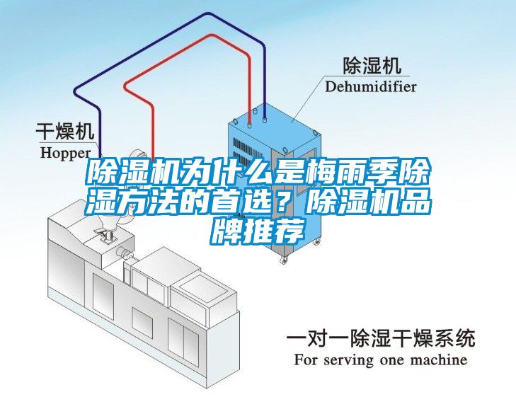 除濕機為什么是梅雨季除濕方法的首選？除濕機品牌推薦